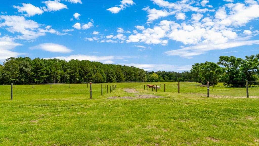 Hwy 96 Mini Farm Photo