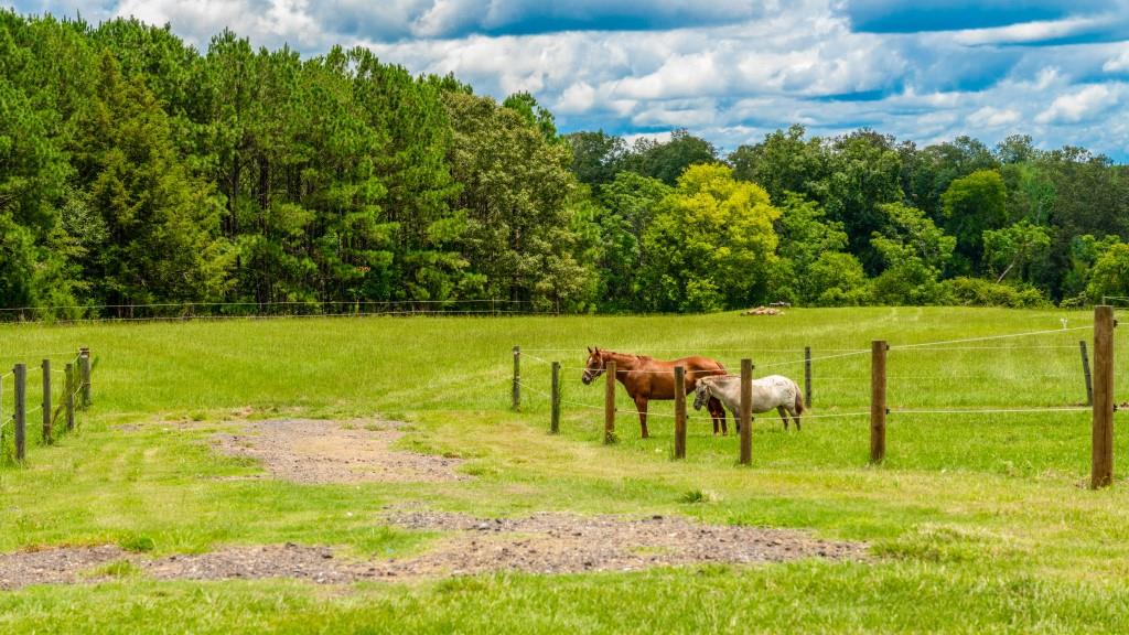 Hwy 96 Mini Farm Photo