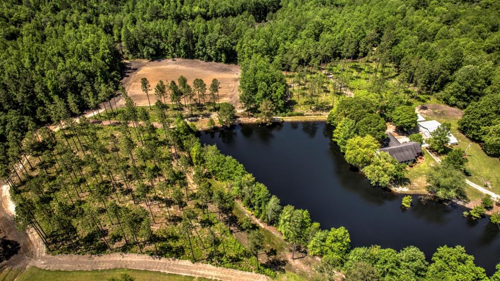 Portal Pond Property Photo