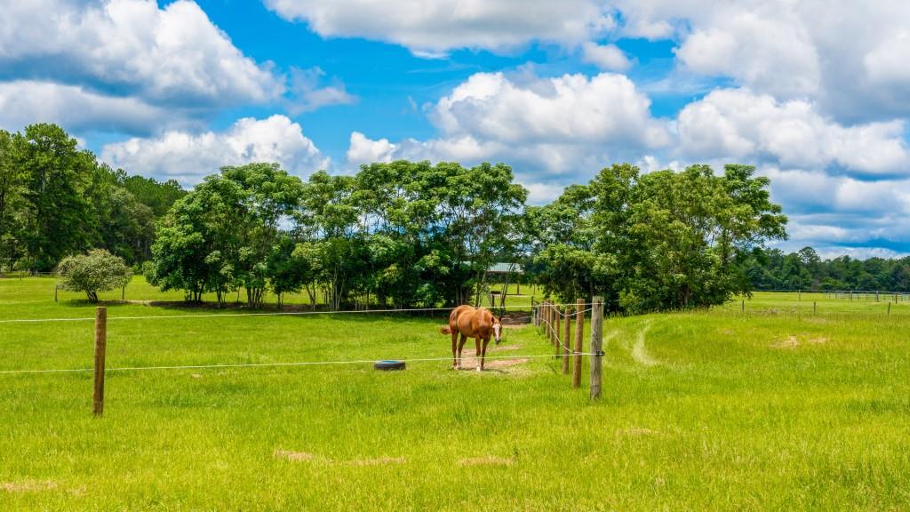 Hwy 96 Mini Farm Photo