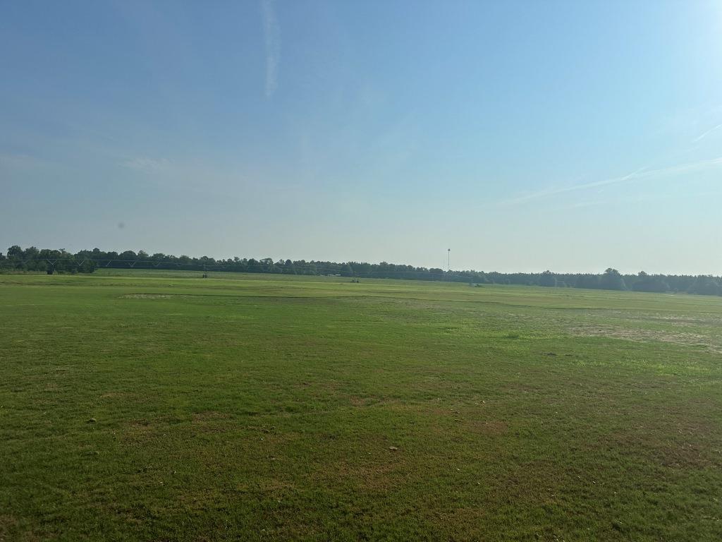 Hwy 301 Sod Farm Photo