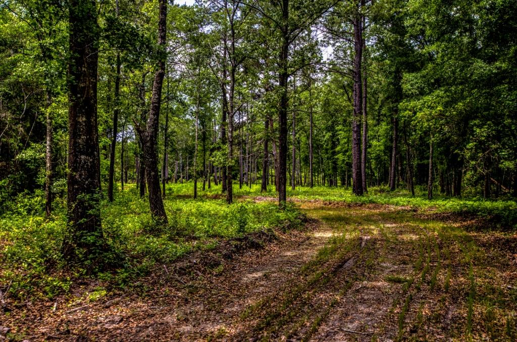 Portal Pond Property Photo