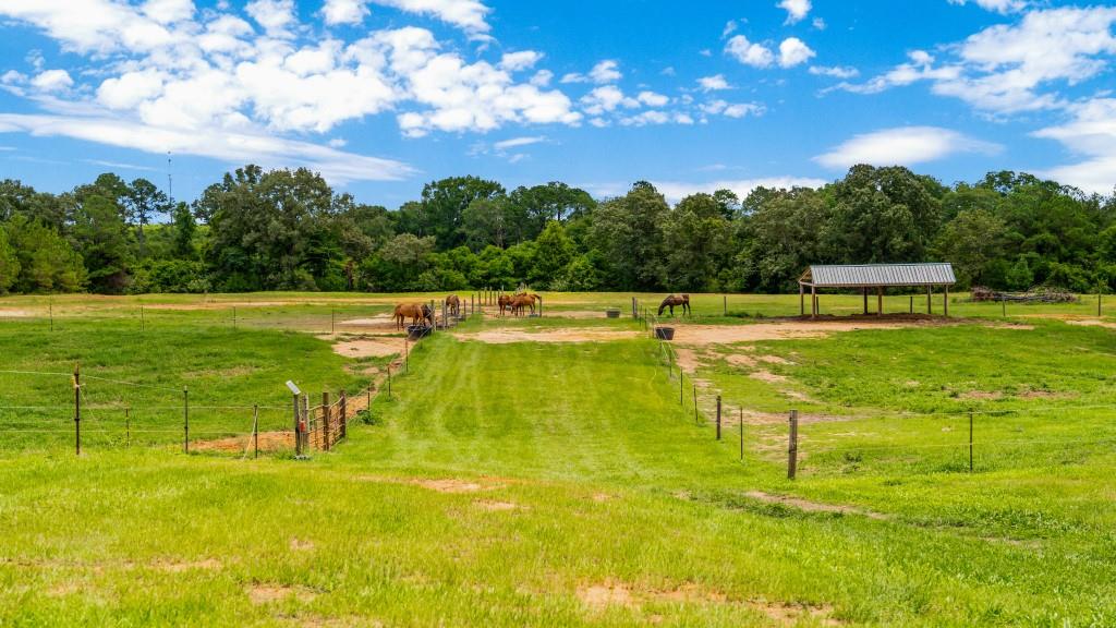 Hwy 96 Mini Farm Photo