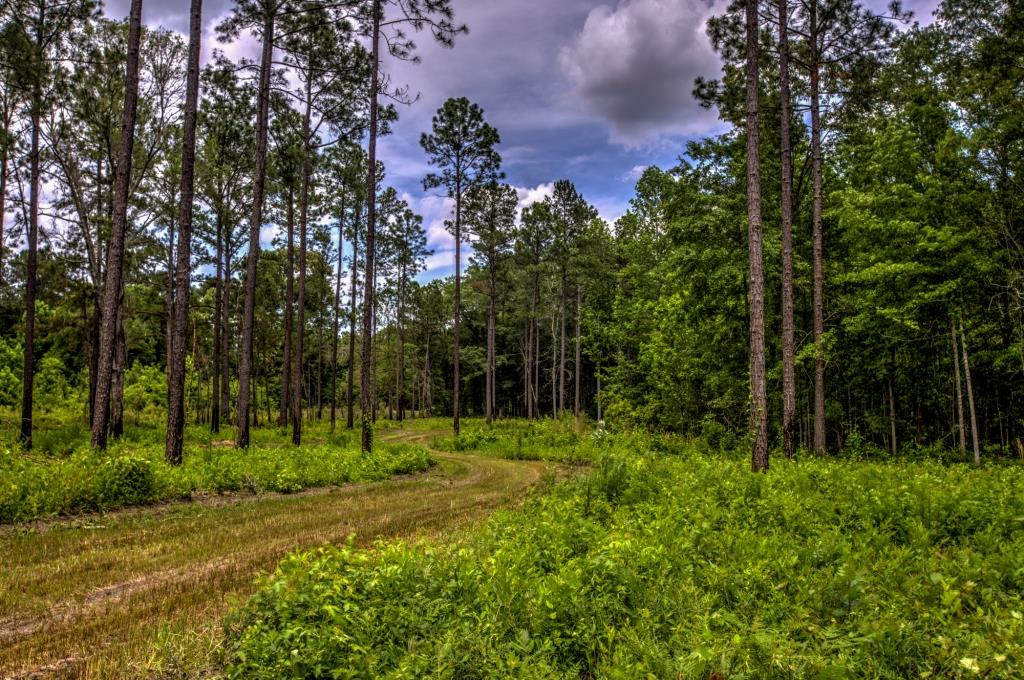 Portal Pond Property Photo