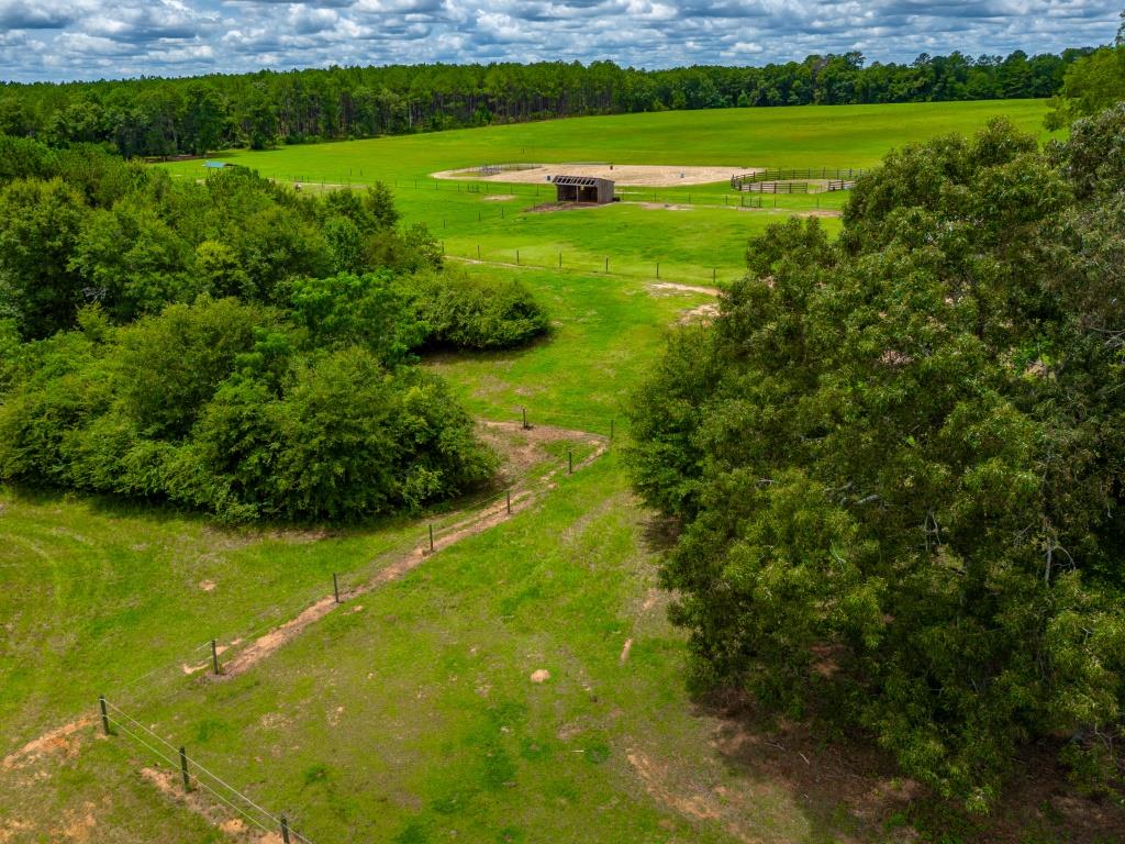 Hwy 96 Mini Farm Photo