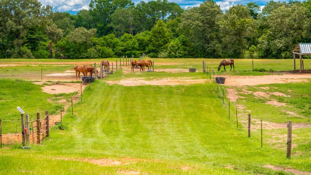 Hwy 96 Mini Farm Photo