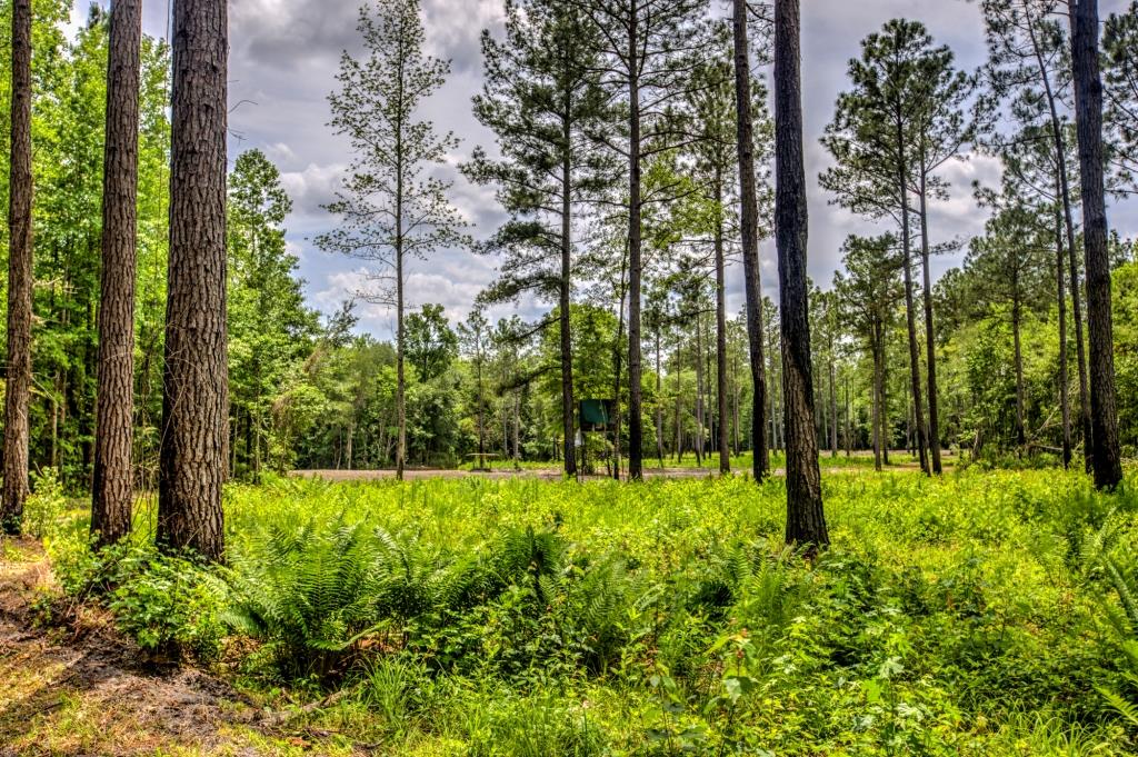 Portal Pond Property Photo