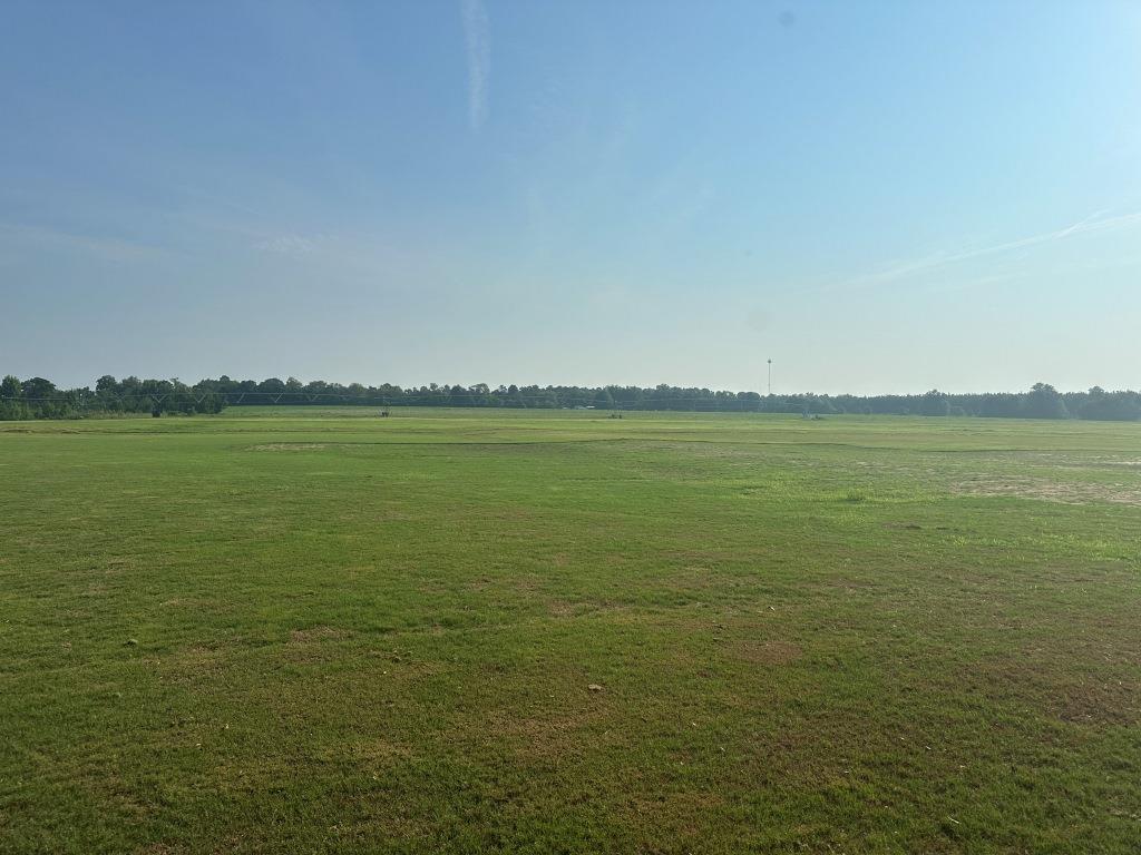 Hwy 301 Sod Farm Photo