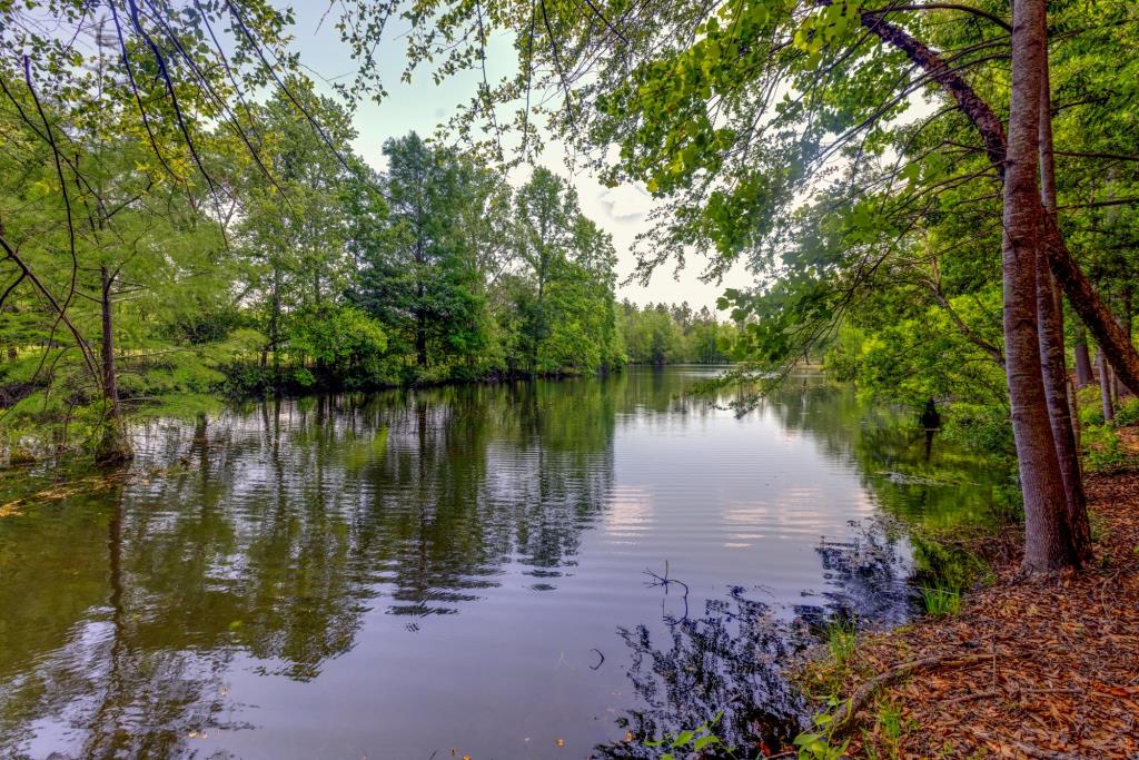 Portal Pond Property Photo