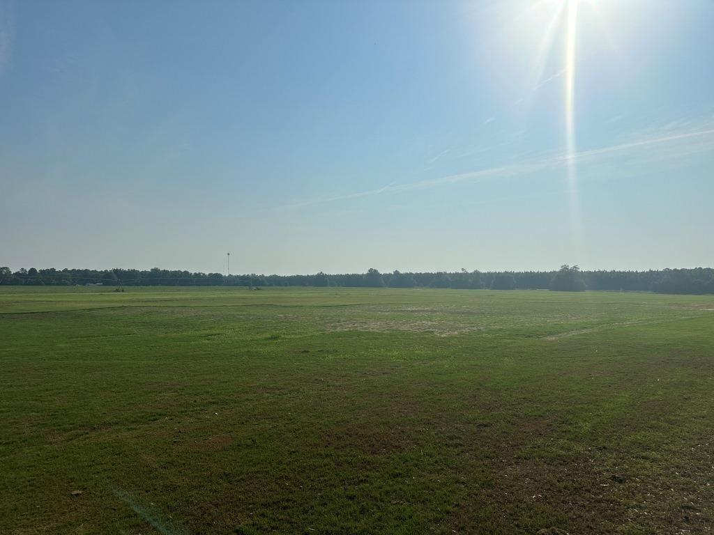 Hwy 301 Sod Farm Photo