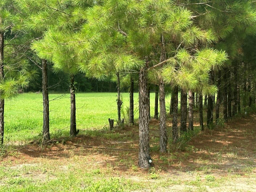 Hudson Ferry Farm Photo