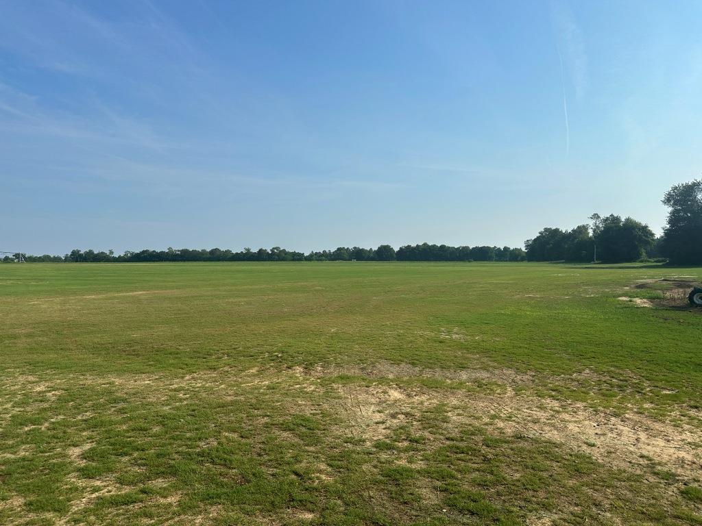 Hwy 301 Sod Farm Photo