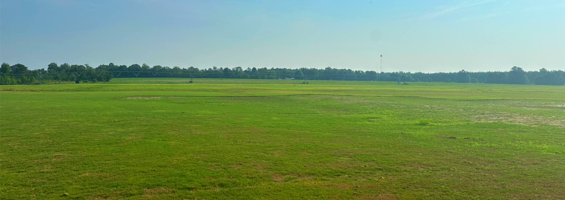 Hwy 301 Sod Farm Main Photo