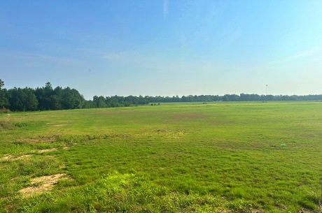 Hwy 301 Sod Farm