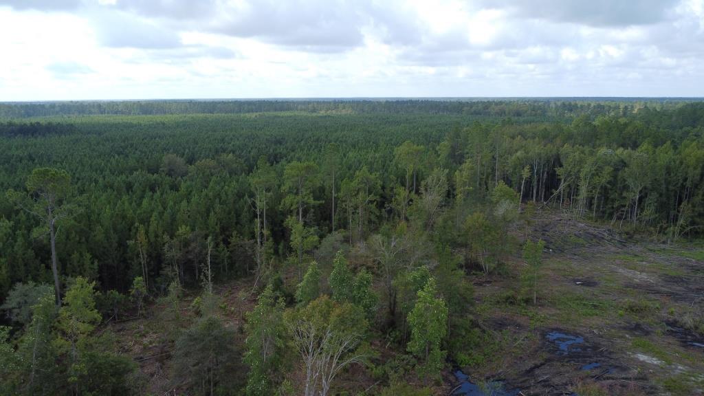 Waverly Farms Homesite Photo