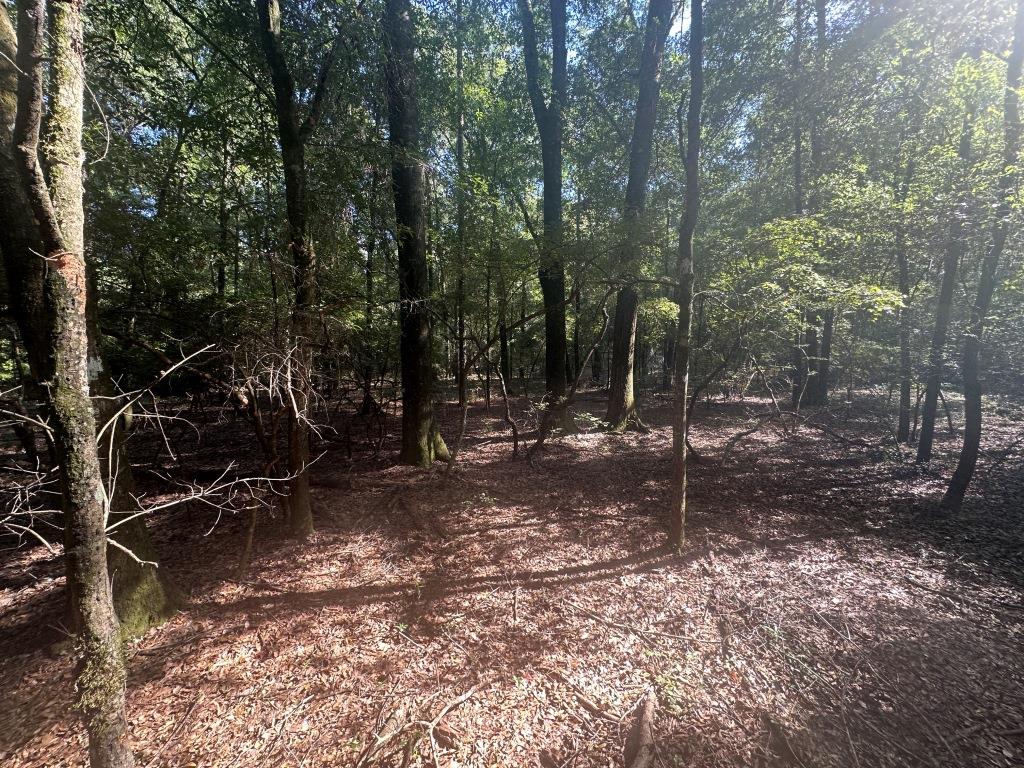 Beaver Dam Creek Photo