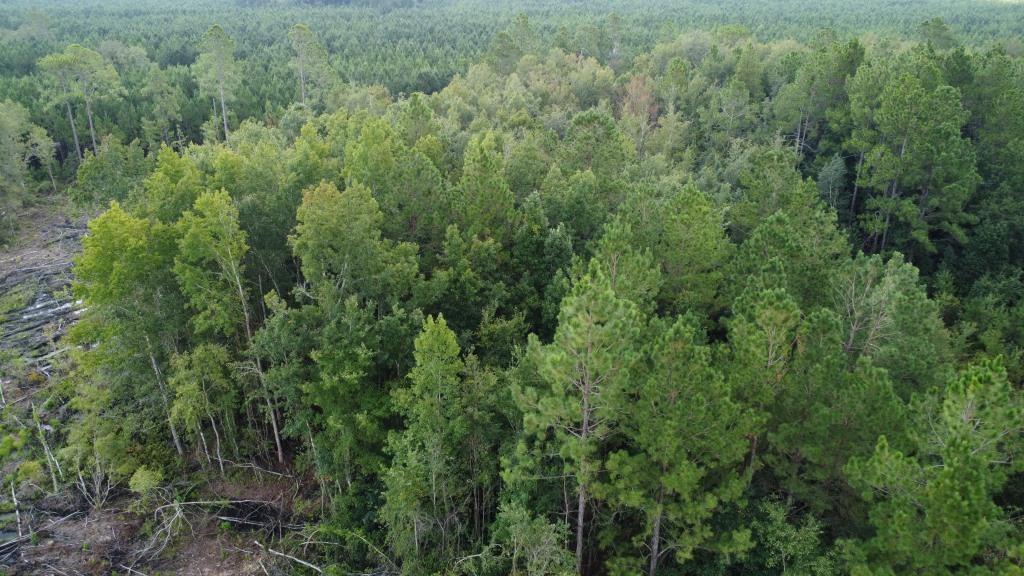 Waverly Farms Homesite Photo