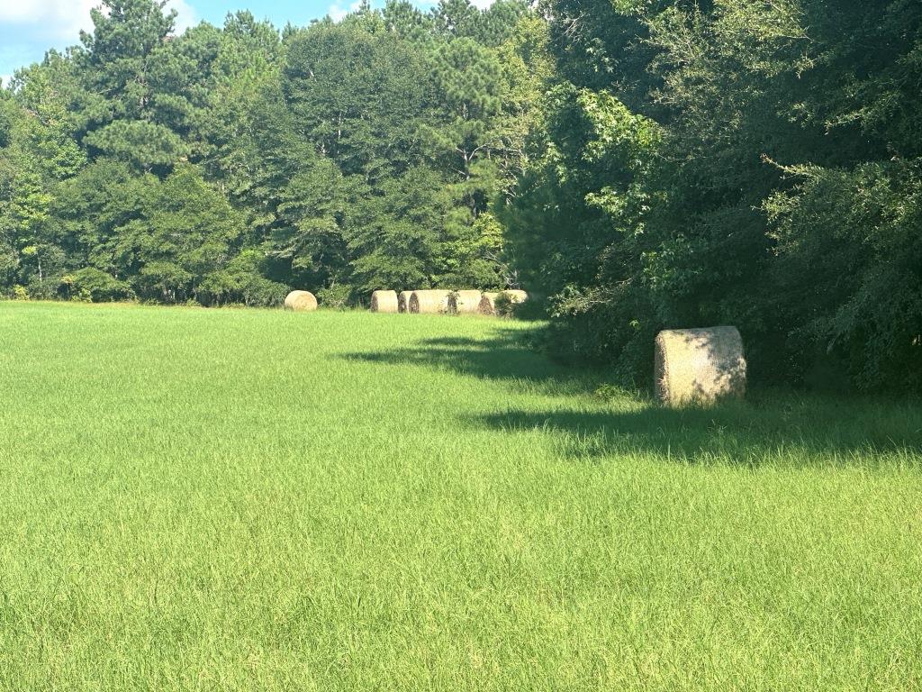 Beaver Dam Creek Photo