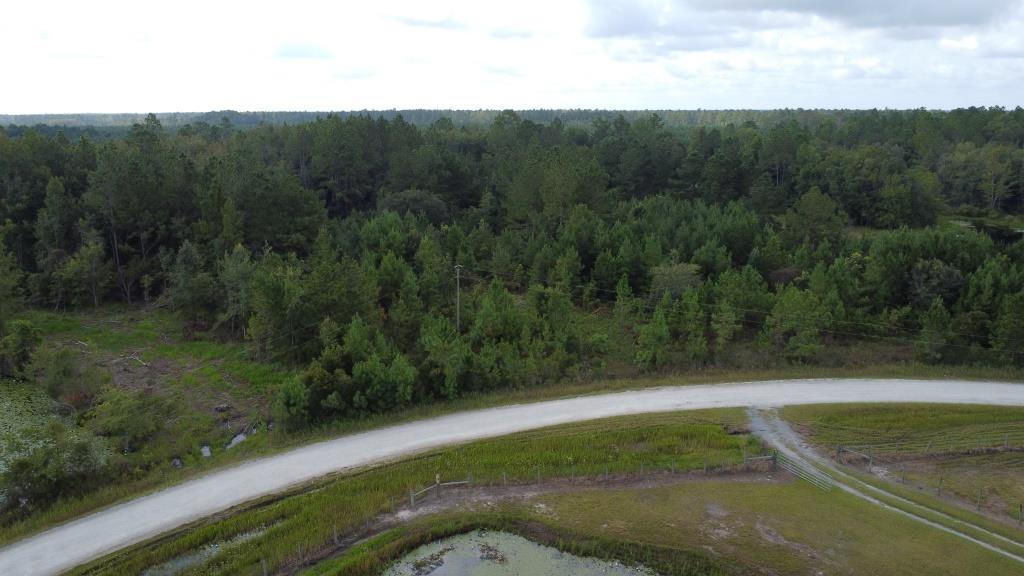 Waverly Farms Homesite Photo