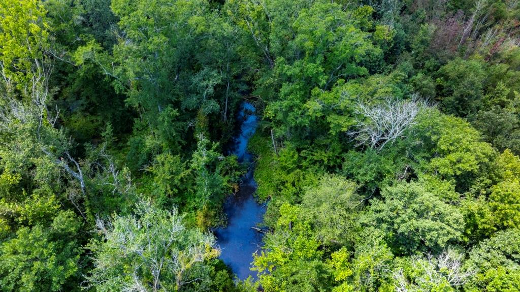 Tobesofkee Creek Photo