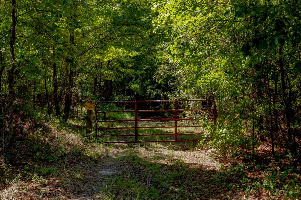 Wilkinson Forest Farm Photo