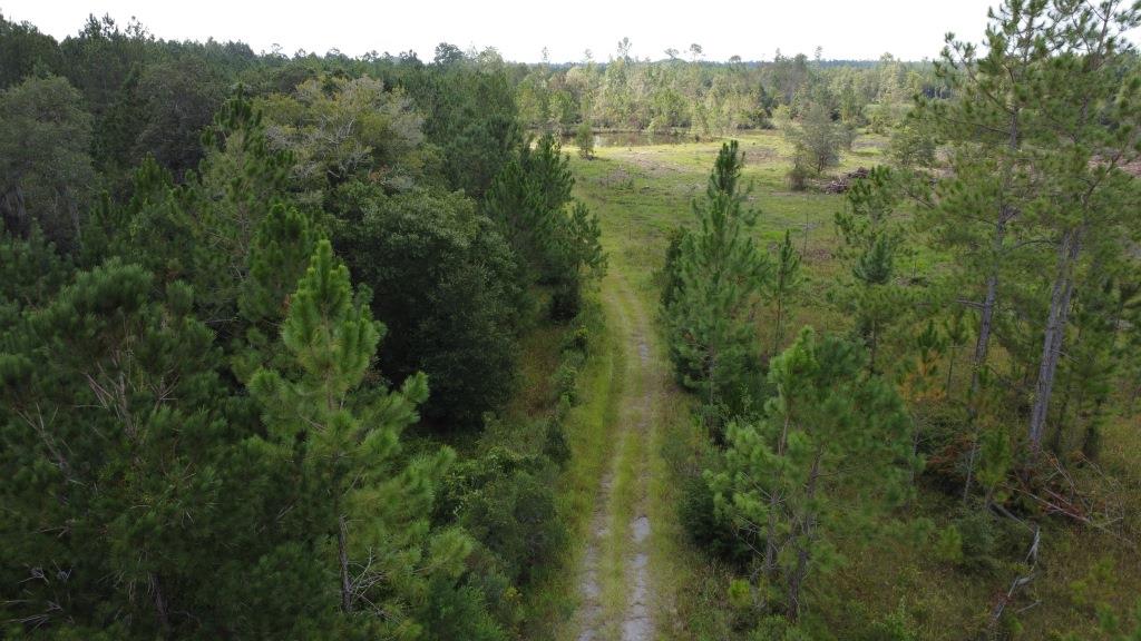 Waverly Farms Homesite Photo