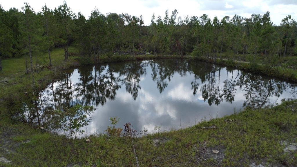 Waverly Farms Homesite Photo