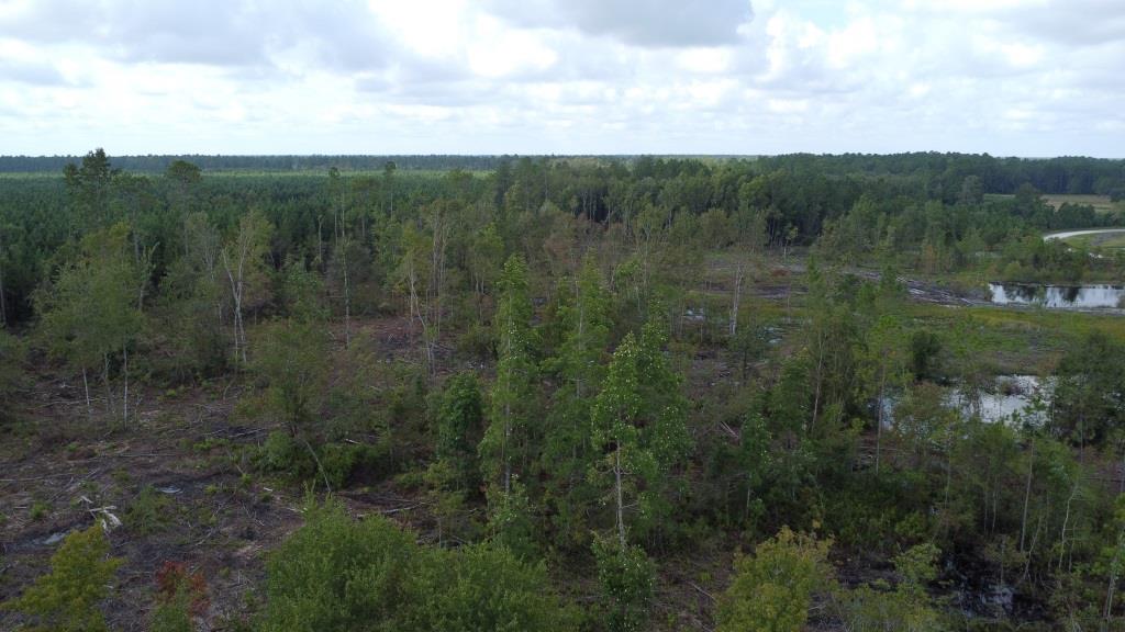 Waverly Farms Homesite Photo