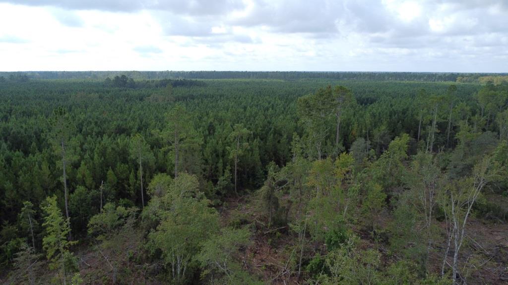 Waverly Farms Homesite Photo