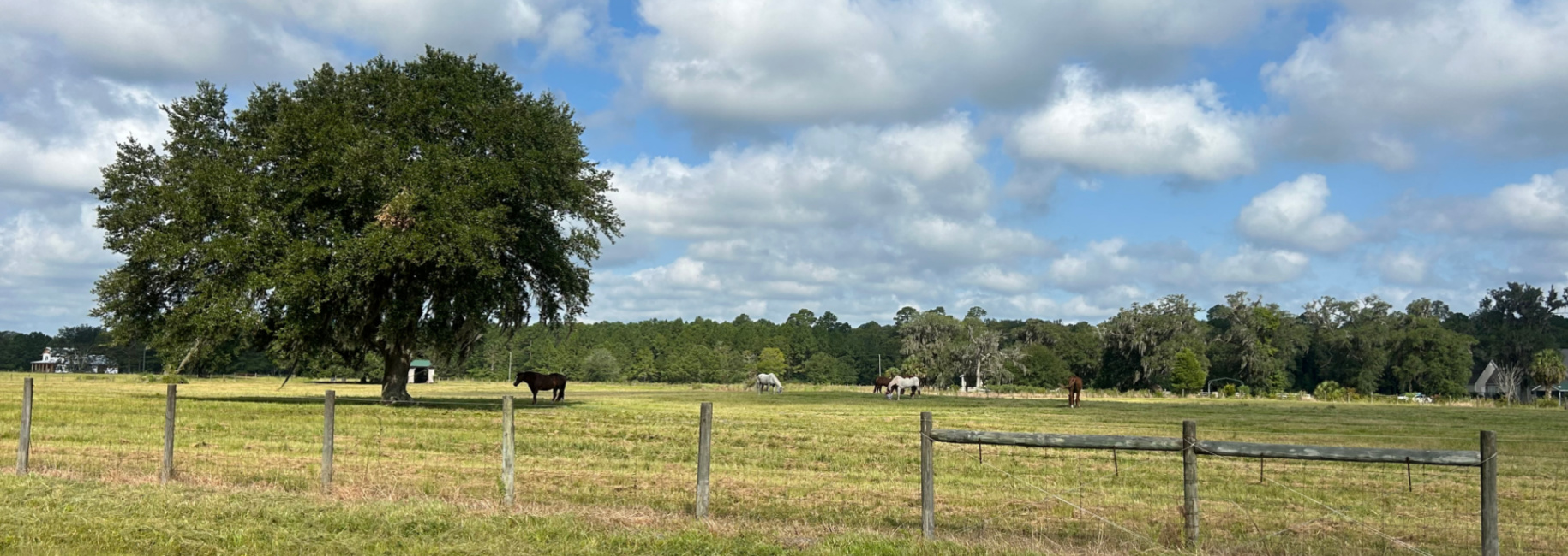 Waverly Farms Homesite Main Photo