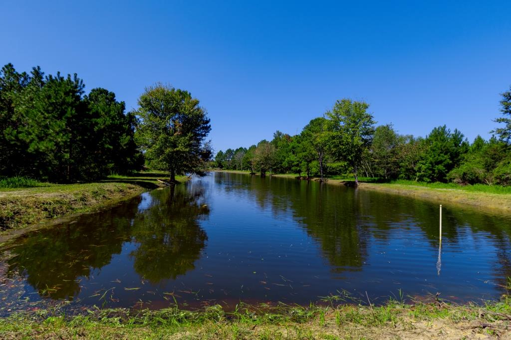 White Tail Homeplace Photo