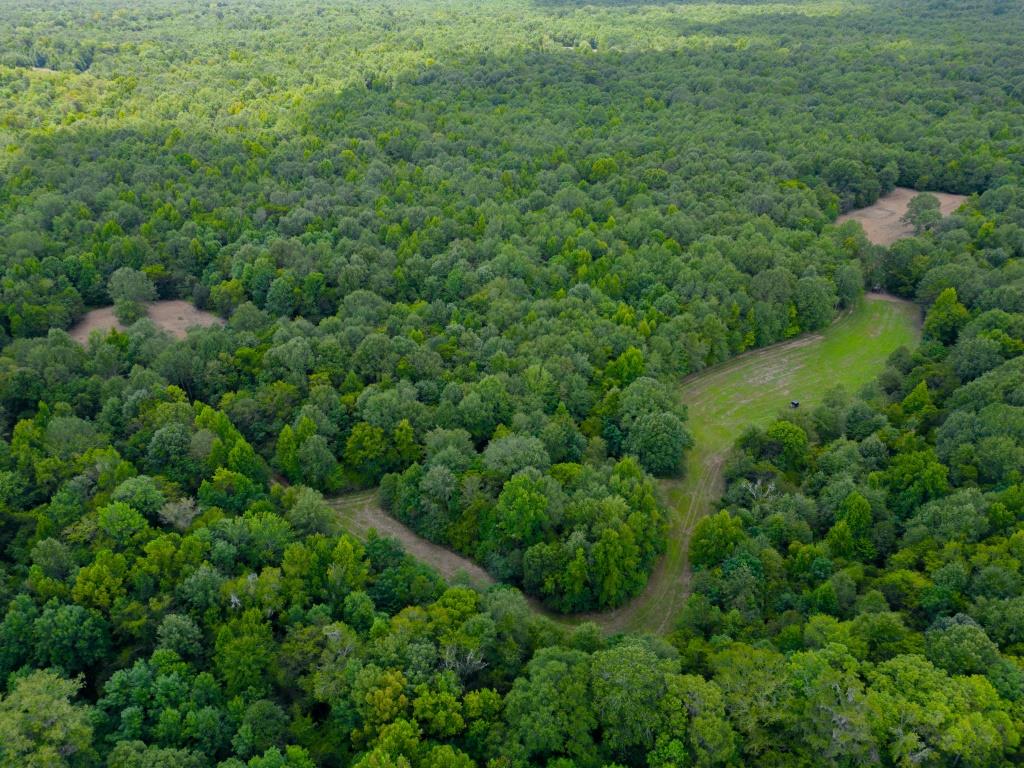 Greentop Plantation on Ocmulgee River Photo