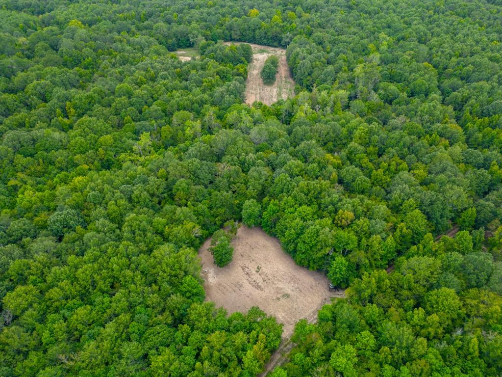 Greentop Plantation on Ocmulgee River Photo