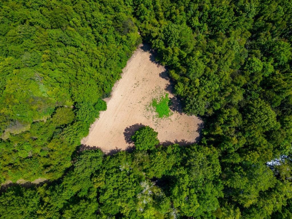 Greentop Plantation on Ocmulgee River Photo