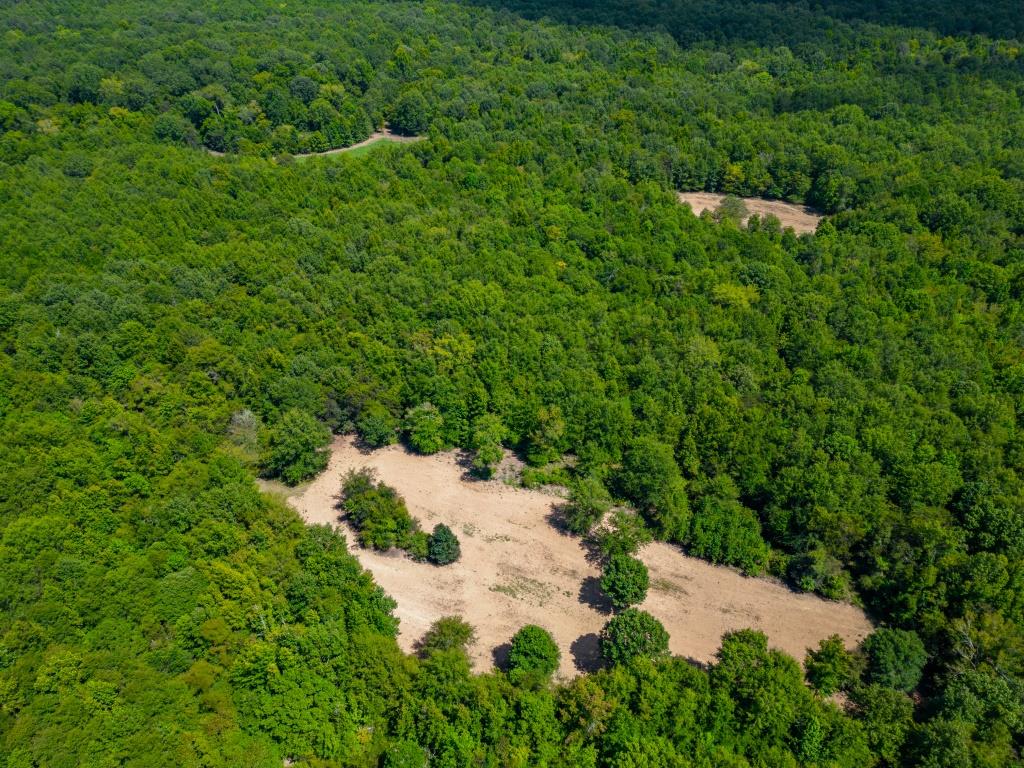 Greentop Plantation on Ocmulgee River Photo