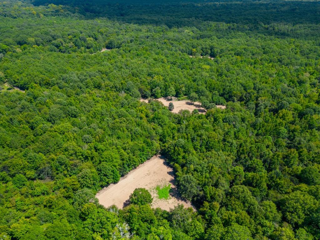 Greentop Plantation on Ocmulgee River Photo