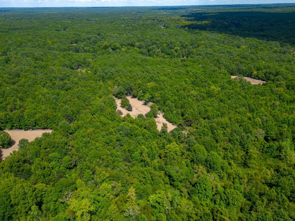 Greentop Plantation on Ocmulgee River Photo