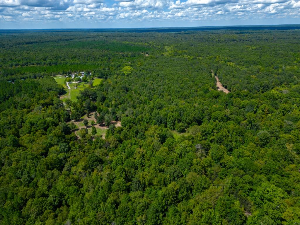 Greentop Plantation on Ocmulgee River Photo