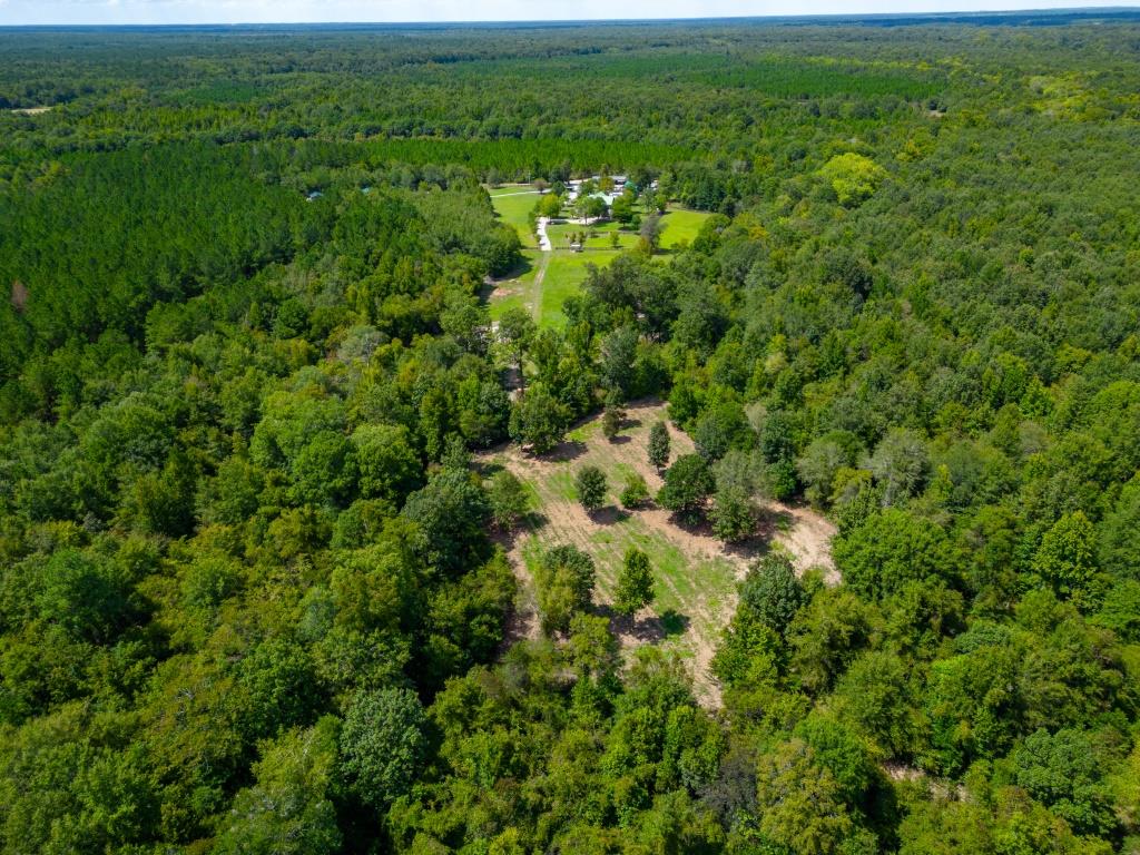 Greentop Plantation on Ocmulgee River Photo