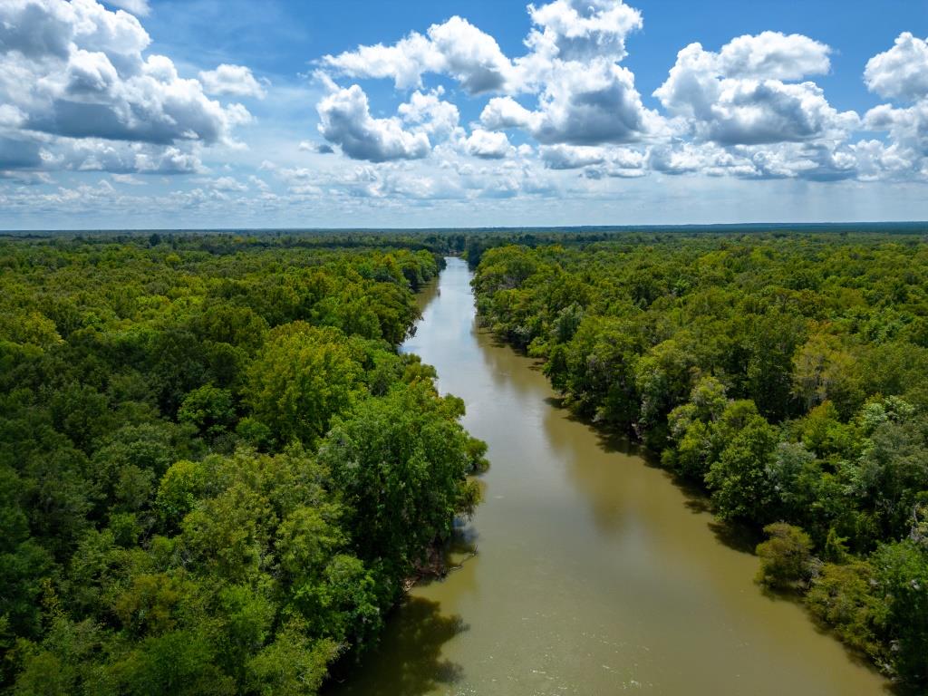 Greentop Plantation on Ocmulgee River Photo