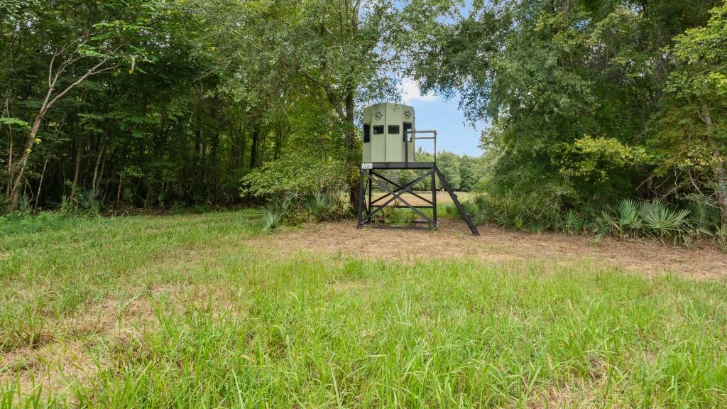 Greentop Plantation on Ocmulgee River Photo