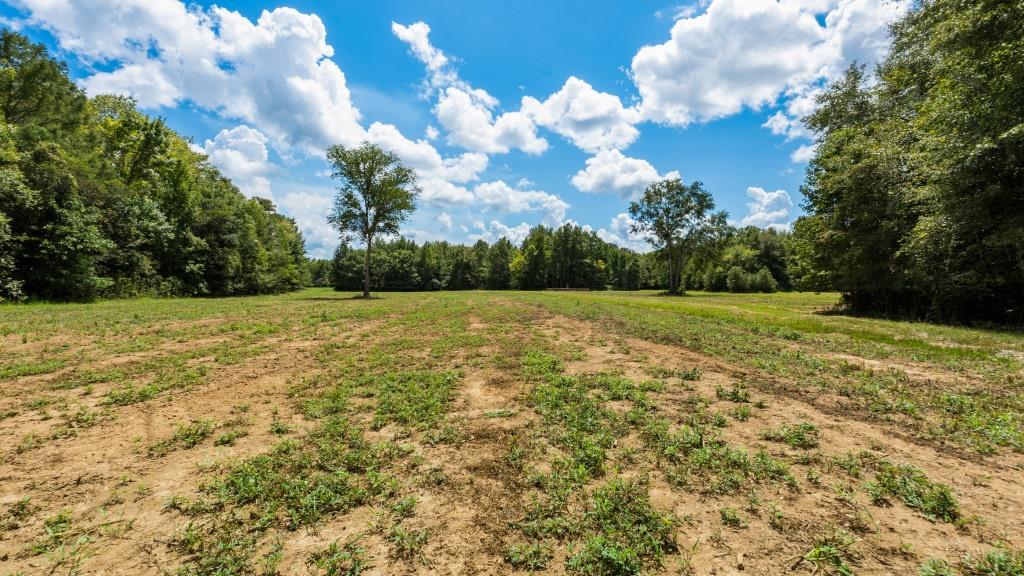 Greentop Plantation on Ocmulgee River Photo