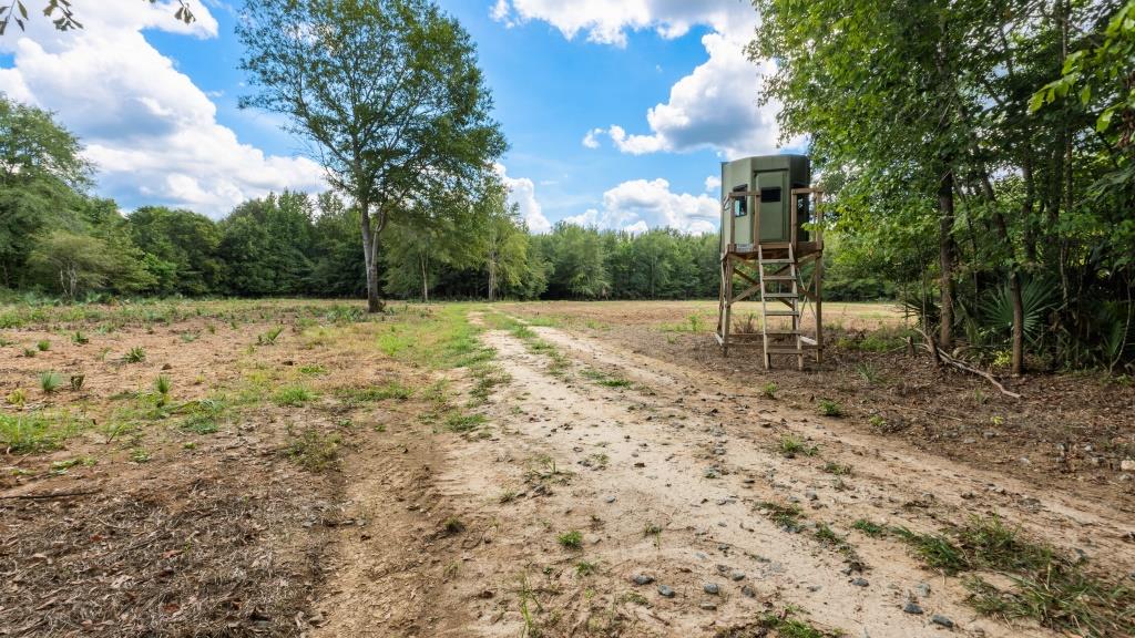 Greentop Plantation on Ocmulgee River Photo