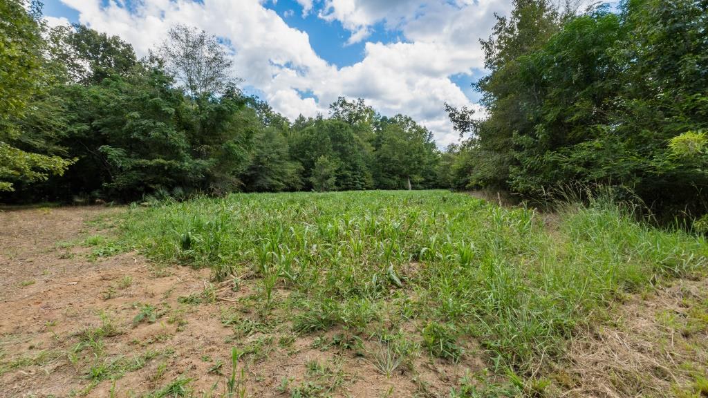 Greentop Plantation on Ocmulgee River Photo