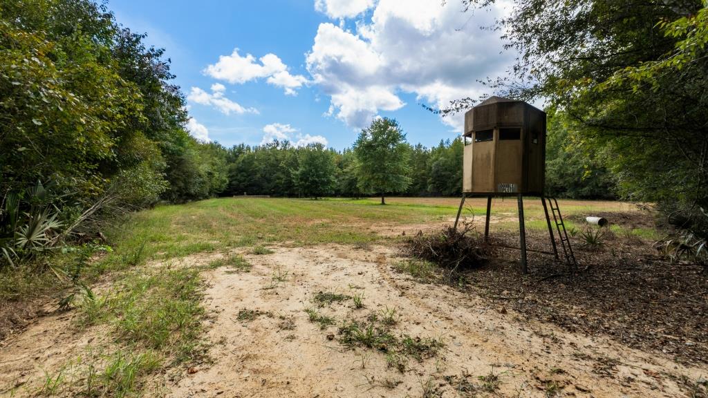 Greentop Plantation on Ocmulgee River Photo