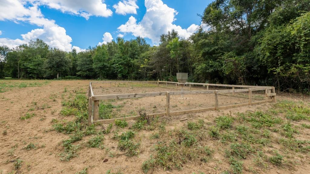 Greentop Plantation on Ocmulgee River Photo