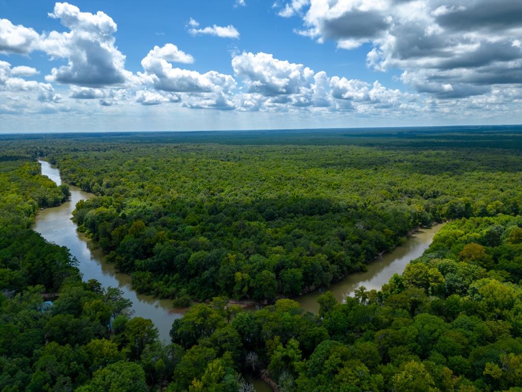 Greentop Plantation on Ocmulgee River Photo