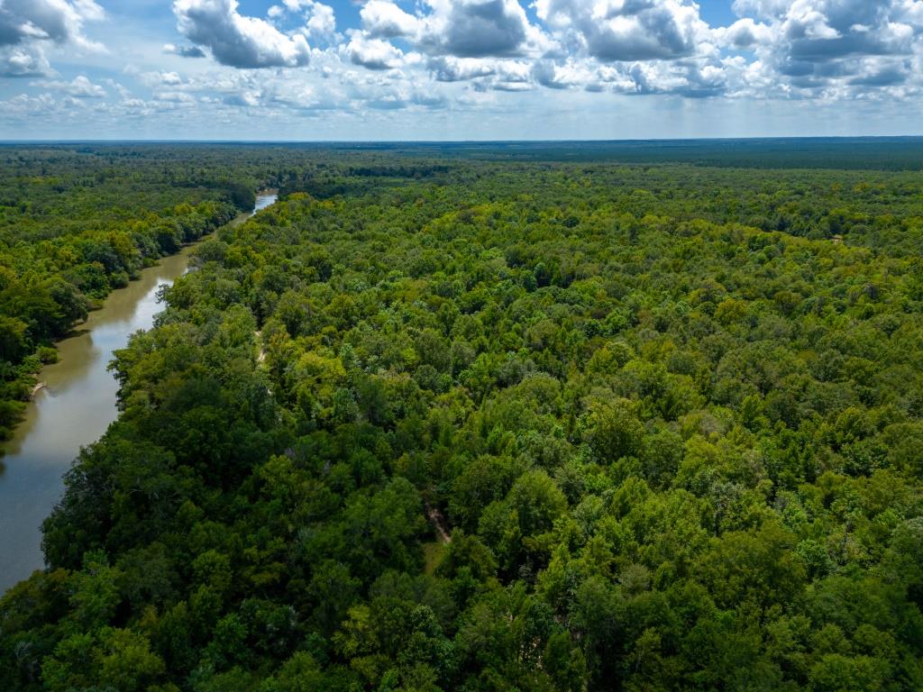 Greentop Plantation on Ocmulgee River Photo