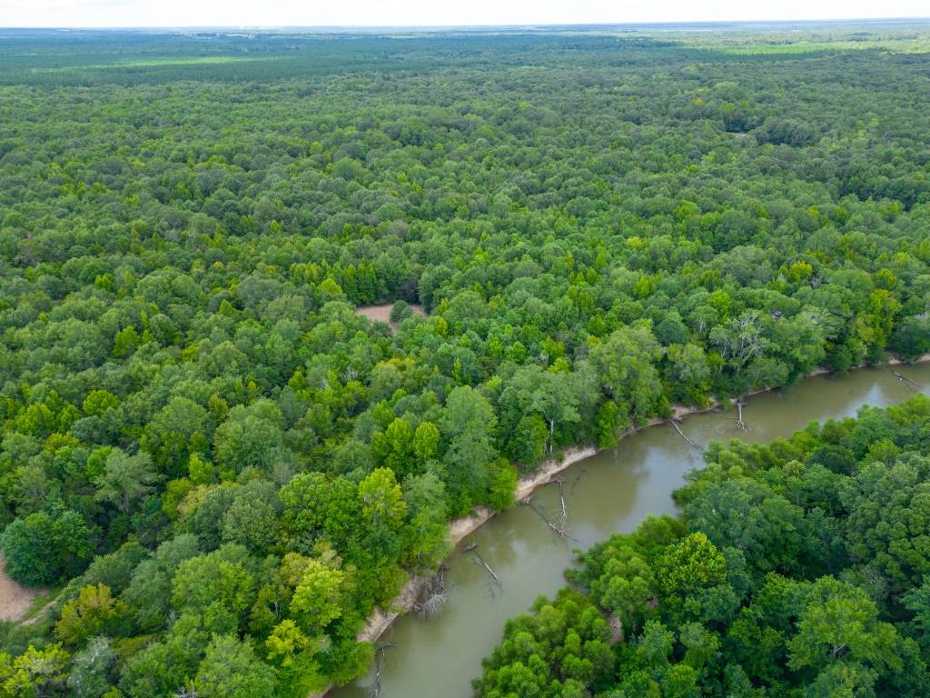 Greentop Plantation on Ocmulgee River Photo