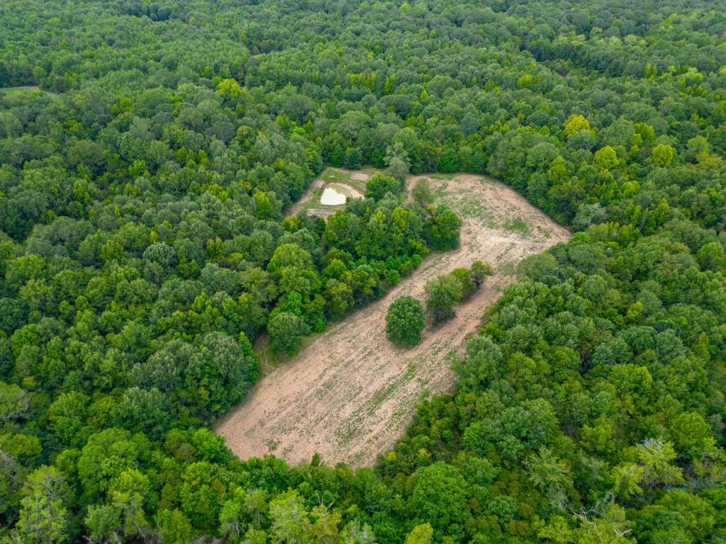 Greentop Plantation on Ocmulgee River Photo